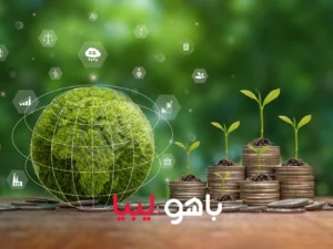 Read more about the article مقدمة عن العائد علي الاستثمار (Return On Investment – ROI)